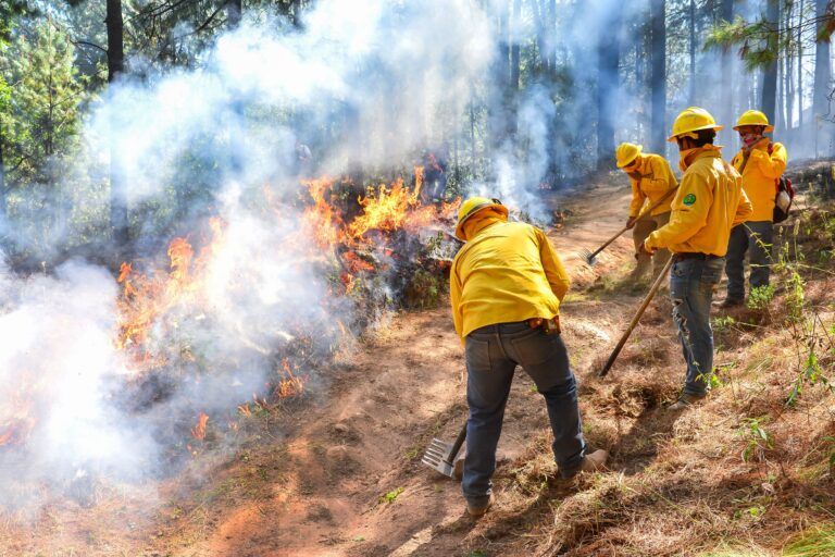 Hasta 10 años de cárcel a quien provoque incendios forestales en Edomex