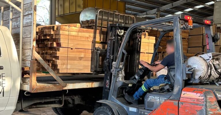 Aseguran 115 m3 de madera ilegal en un operativo inédito en la CDMX