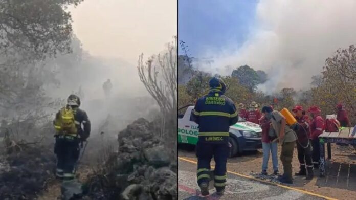 Controlan incendio en el #ParqueEcológico de la #CDMX, en #Tlalpan https://reflexion24informativo.com.mx/controlan-incendio-en-el-parque-ecologico-de-la-cdmx-en-tlalpan/ #IncendioForestal #fuego #cuerposdeemergencia #mirador #ciclopista #Ajusco #ciclistas #Excursionistas
