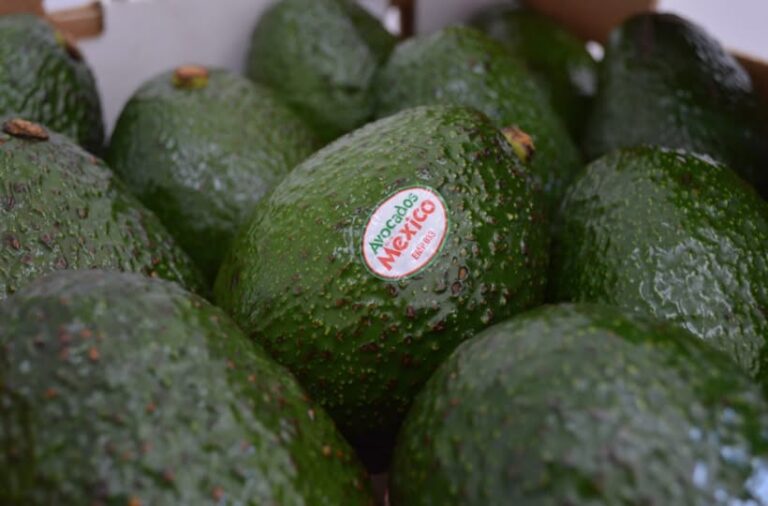 APEAM: Decisión sobre Aranceles  Fortalece el Comercio Bilateral  del Aguacate Mexicano con EE.UU