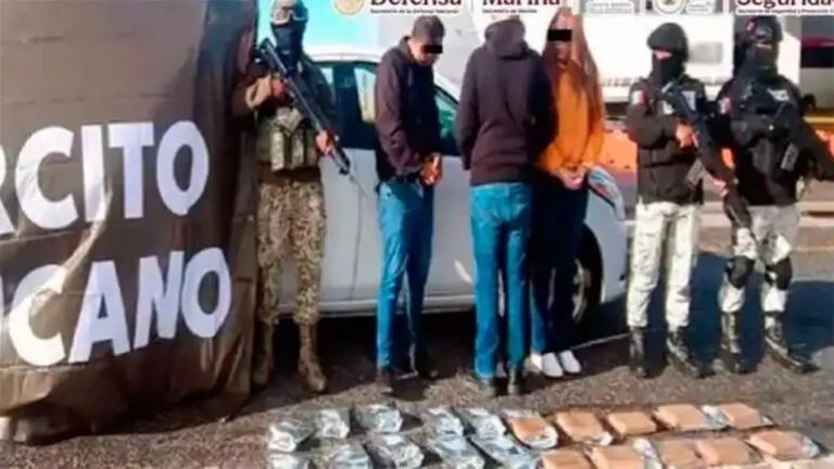 Operación Frontera Norte asegura 24.3 toneladas de droga
