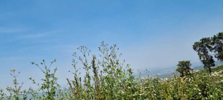 Continúan las altas temperaturas y el evento de “Norte”