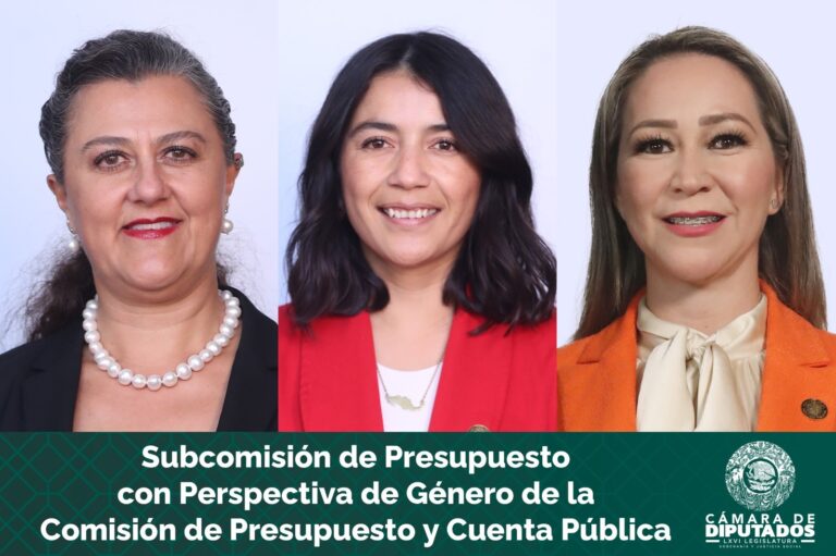 Diputadas revisarán el Anexo 13 para mejorar presupuesto en igualdad