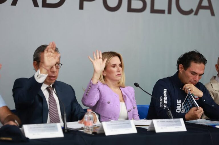 La seguridad no se improvisa”: Romina Contreras