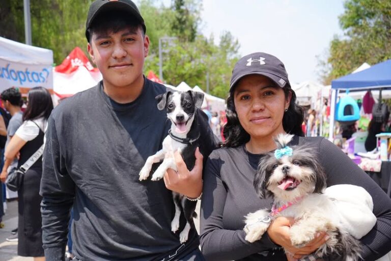Adoptatón 2025 triplica adopciones en Chapultepec