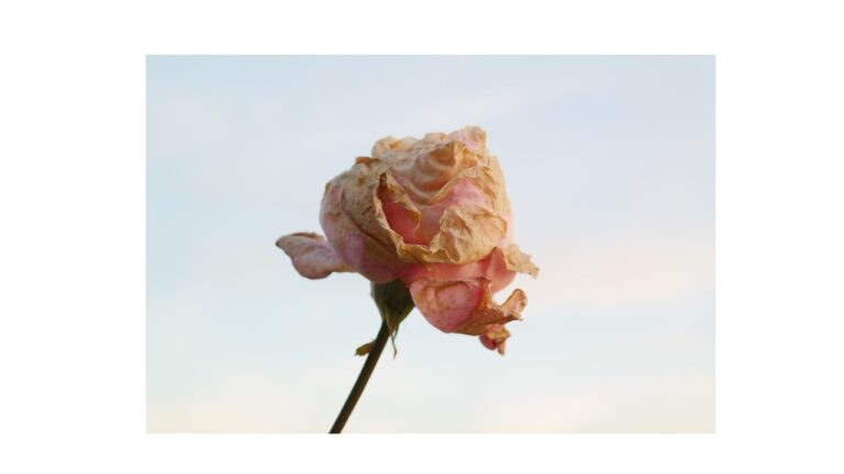 Presentan suplemento natural para la salud física y mental durante la menopausia