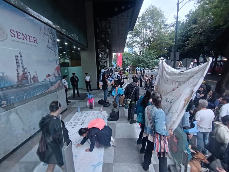 “¡Defendamos a las ballenas!”: Niñez mexicana exige a SENER frenar megaproyectos de gas que amenazan el Golfo de California