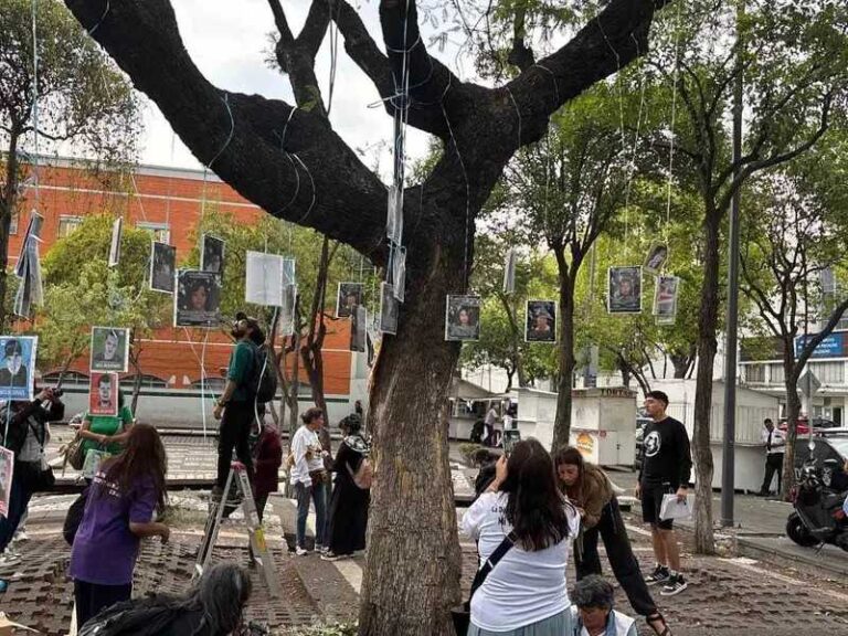 Madres buscadoras instalan El Árbol de la Esperanza en CDMX