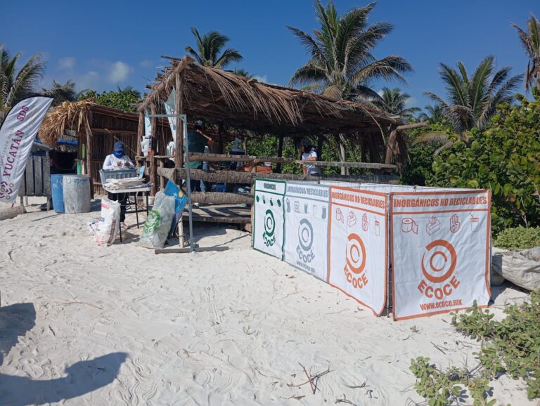 52 años de acción global y 23 años de compromiso activo de ECOCE con México