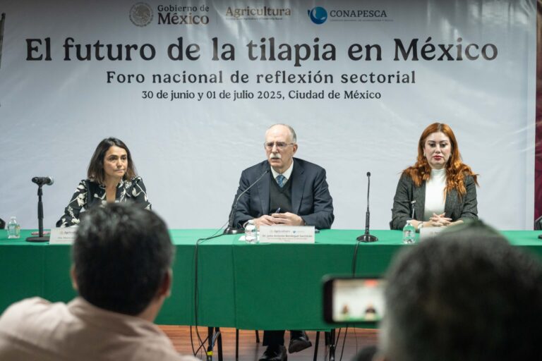 México apuesta por la tilapia para alcanzar la soberanía alimentaria: Berdegué