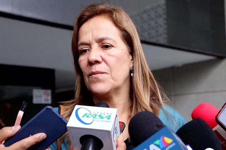 Reformas y nueva ley sobre la Guardia Nacional no se ha discutido ni revisado a fondo; no son sólo adecuaciones “formales”: PAN