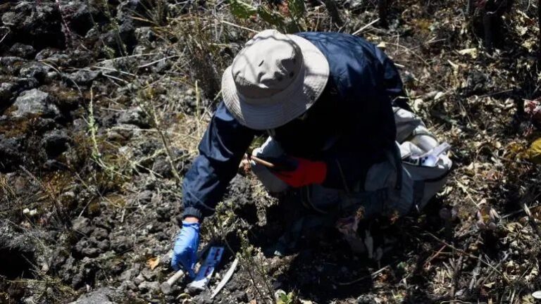 Califica SRE de ‘inaceptable’ el señalamiento de la ONU sobre desapariciones sistemáticas