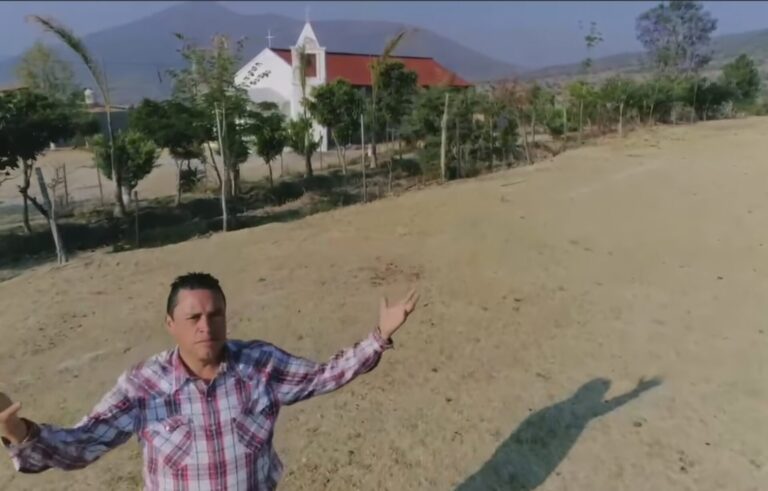 El Diputado Emilio Manzanilla Impulsa Campañas de Reforestación “Plantando un Árbol”