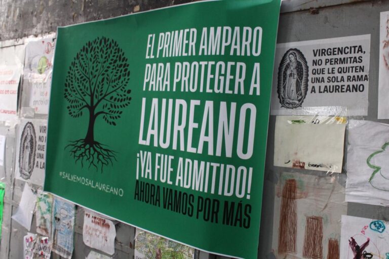 “Ya ganamos la suspensión provisional para proteger a ‘Laureano’, esto es fabuloso”: Patricia Solano