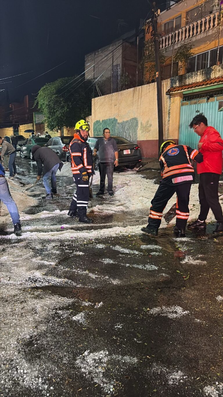Granizada provoca encharcamientos y caída de árbol en Álvaro Obregón