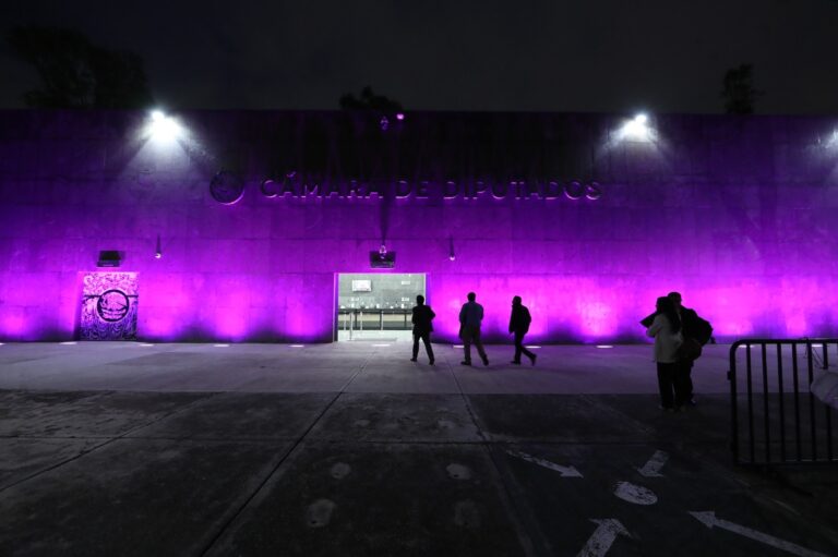 Iluminan la Cámara de Diputados de color morado por el Día Internacional del Síndrome de Dravet