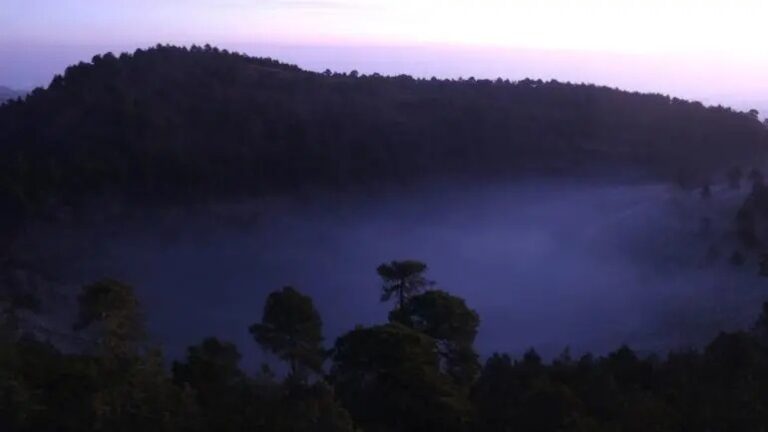 Dos meses sin reportes de tala clandestina en Topilejo, informa Sedema