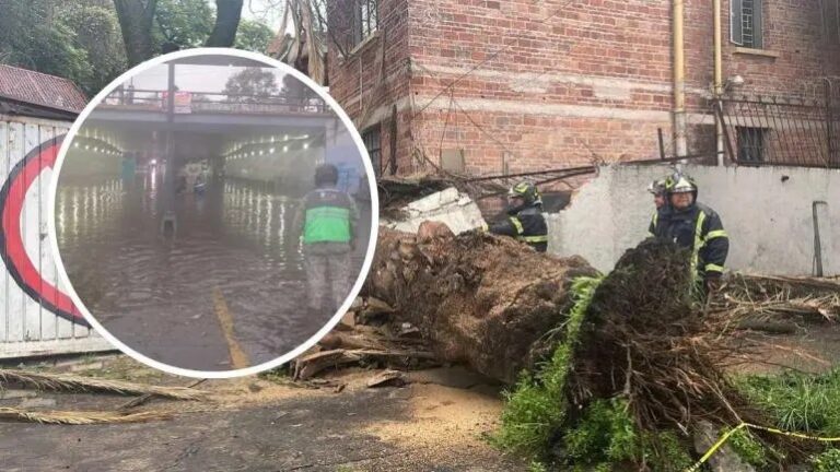 Trombas causan destrozos en al menos tres alcaldías la tarde de este sábado
