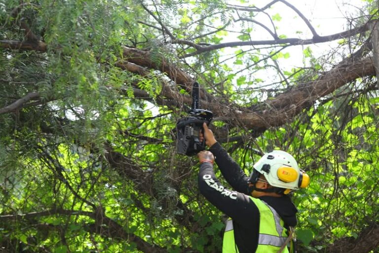 realme P3 se lanzará en México el 15 de julio con un valor máximo y un rendimiento excepcional