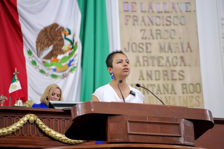 El retiro de las estatuas de Fidel Castro y el Che Guevara fue en respuesta a petición ciudadana: Liz Salgado