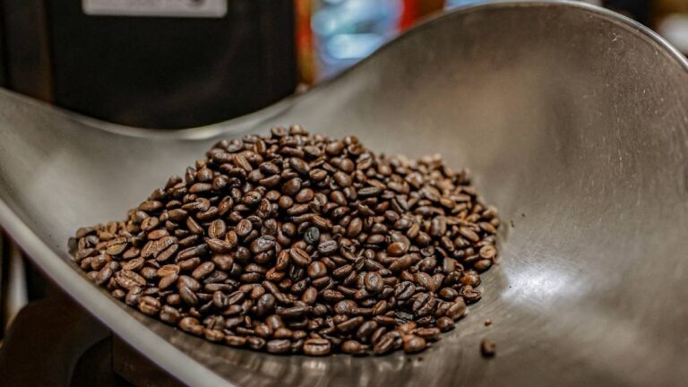 Trump anuncia aranceles del 50% y 25% para Brasil e India, y un acuerdo con Corea del Sur