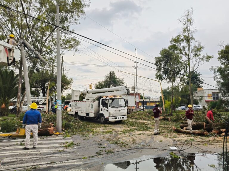 🌬️ Fuertes vientos provocan caída de cuatro árboles en Ojo de Agua; no hay personas lesionadas