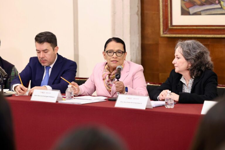 No basta con aprobar la ley, hay que aplicarla con compromiso y justicia: Rosa Icela Rodríguez