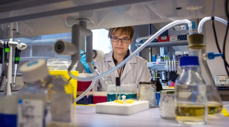 Los científicos validan una nueva estrategia terapéutica para prevenir el Parkinson