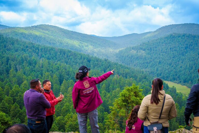 “Reforestar es un acto de responsabilidad con el futuro”: Gaby Osorio