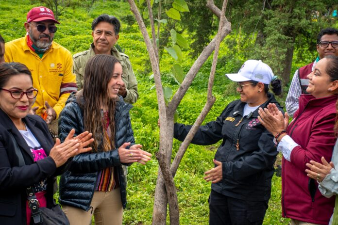 🟢 Reforestación con Amor al Cerro de la Estrella: Inicia la siembra de 15 mil árboles en Iztapalapa 🟢