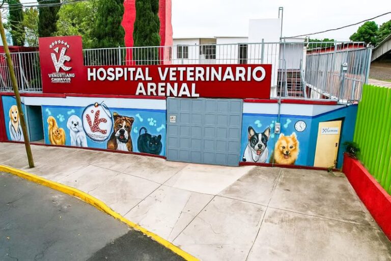 Inauguran en Venustiano Carranza el Hospital Veterinario Arenal, único en la CDMX
