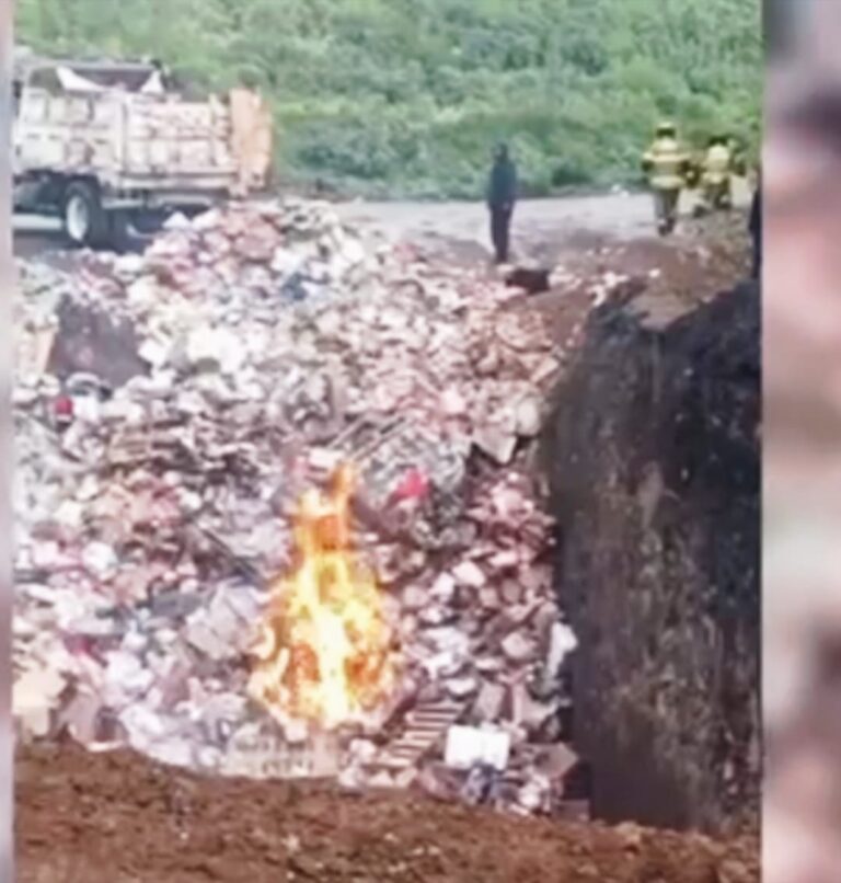 Retiran más de 700 toneladas de abarrotes contaminados en Ecatepec para frenar plaga de roedores: Carlos Cruz Ramos