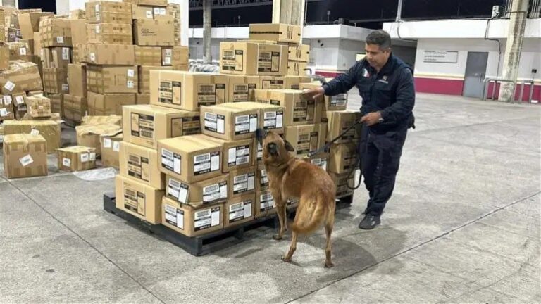 Refuerza México lucha contra el contrabando y la piratería