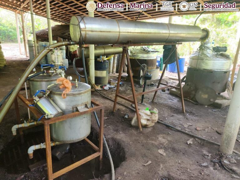 Harfuch confirma megadecomiso de 6 toneladas de drogas en Chiapas y Guerrero
