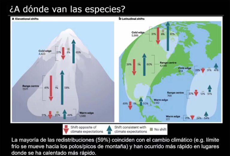 Especies enfrentan límites de adaptación al calor, advierte investigador del INECOL