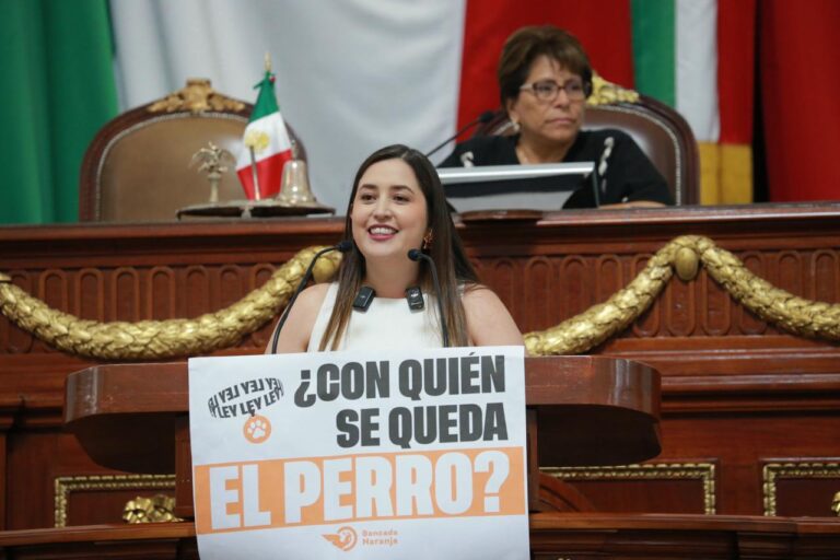 CDMX hace historia: custodias y manutención de mascotas serán obligatorias en divorcios