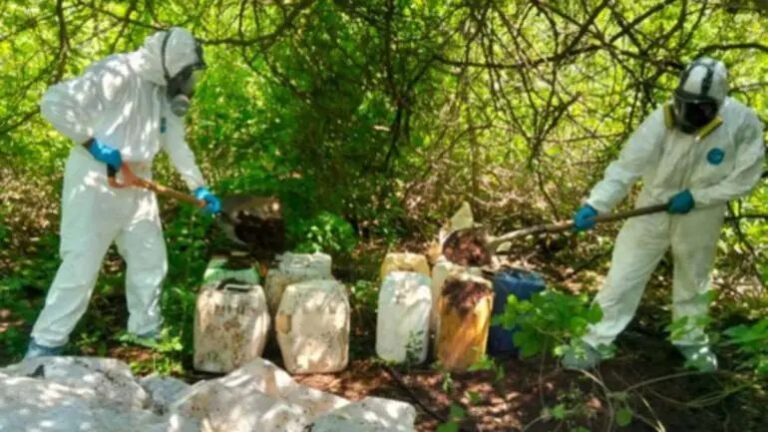 Aseguran 13 áreas de concentración de químicos y un narcolaboratorio en Sinaloa