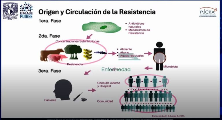 Reducir el uso de antibióticos es la única acción central: UNAM