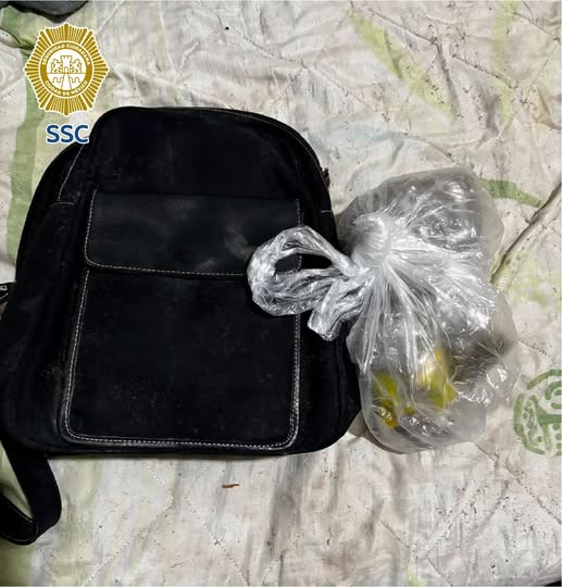 Operativo conjunto en Álvaro Obregón y Azcapotzalco desmantela puntos de narcomenudeo