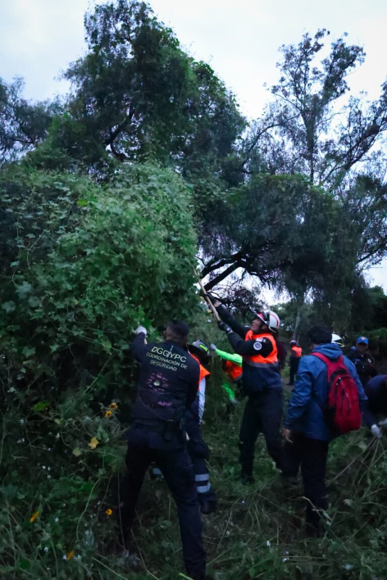 Erradican plaga vegetal que amenaza al Cerro de la Estrella en Iztapalapa