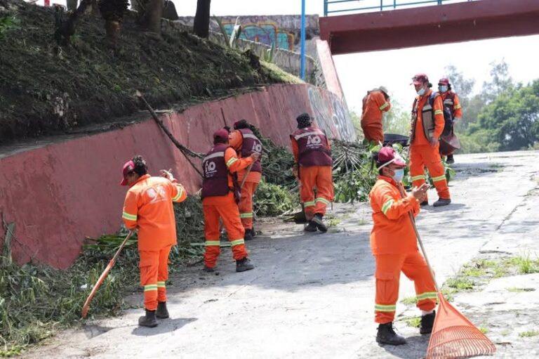Retiran más de 3 mil toneladas de basura de presas y barrancas en Álvaro Obregón