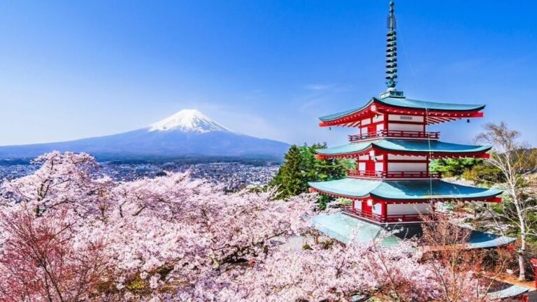 Trump recibirá 250 cerezos de Japón por los más de dos siglos de la Independencia de EU