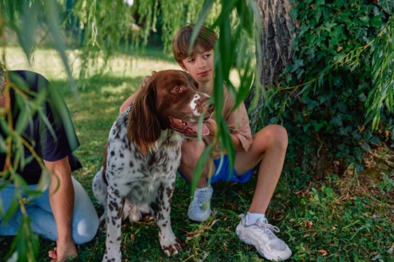 México mantiene la rabia canina bajo control, pero la amenaza persiste: vacunar es clave