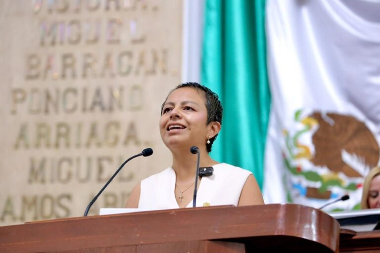 Medalla al mérito de las y los defensores de derechos humanos debe llevar el nombre de Digna Ochoa: Liz Salgado