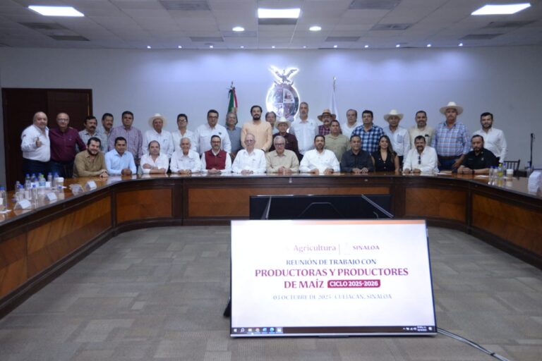 Gobierno federal y Sinaloa acuerdan apoyar comercialización de maíz blanco no transgénico