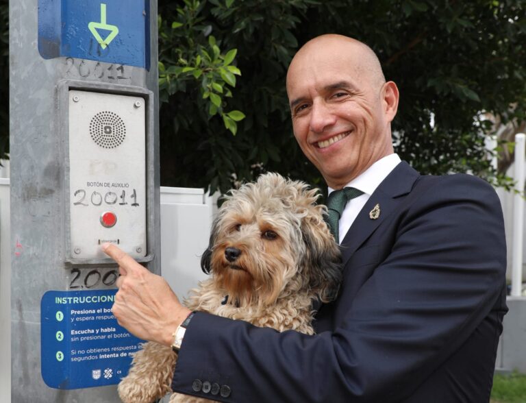 C5 recibe más de 11 mil reportes por rescate y maltrato animal en CDMX; bajan 18.7% en un año