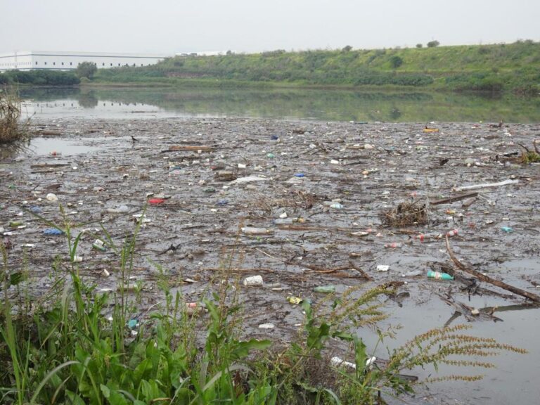 Aguas contaminadas amenazan salud y ecosistemas: UAEMéx