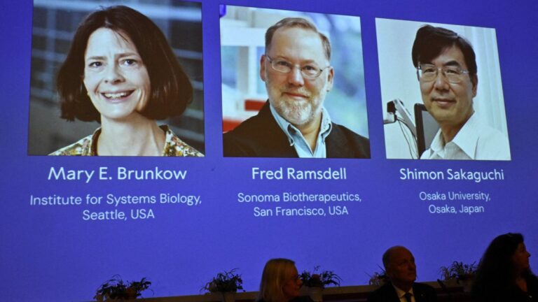 Brunkow, Ramsdell y Sakaguchi ganan Nobel de Medicina 2025 por descubrimientos sobre sistema inmunitario