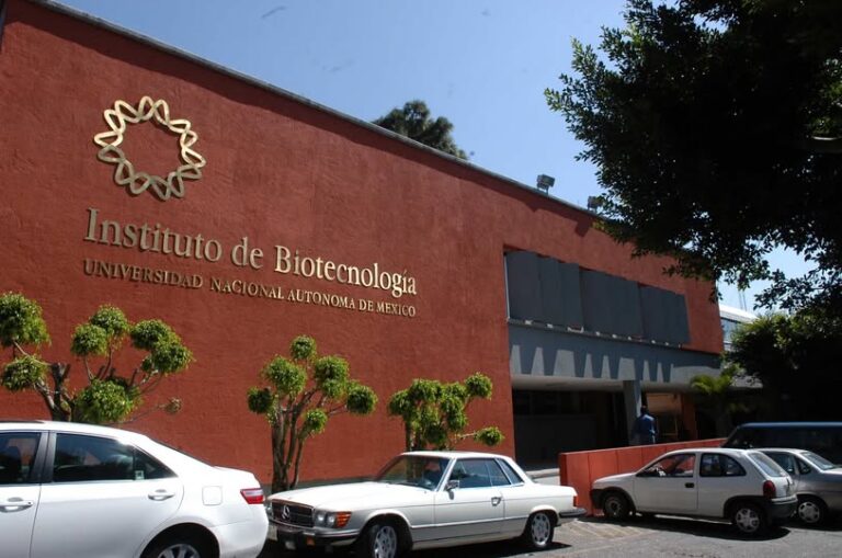 Desarrollan antiveneno basado en anticuerpos que protege contra las serpientes más letales de África