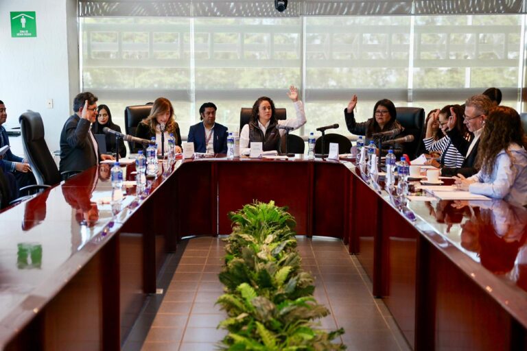 La transformación digital es indispensable para la administración electoral: Amalia Pulido